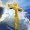 Frances Curry - @frances.curry5 - TikTok