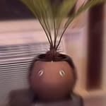 Frank Nfurter Curry - @frankthesagopalm - Instagram