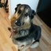 Frankie Curry - Facebook