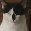 francurtinhas - @francurtinhas - TikTok