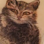 Fran Cuthbert - @fac4641 - Instagram