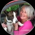 Fran Dale - @hesad64386 - Instagram