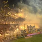Fran Damico - @damico5762 - Instagram