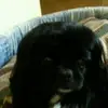 Fran Damico - @fran.damico6 - TikTok