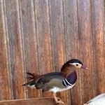 Fran Daugherty - @frandaugherty - Instagram
