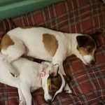 Fran Davenport - @fran.davo.5 - Instagram