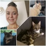 Fran Davidson - @frandavidson710 - Instagram