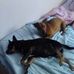 Frances Davidson - Facebook