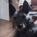 Fran Dawson - Facebook