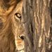 Frank Delaney - Facebook