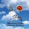Fran Dempseypigeon - @fran.dempseypigeo - TikTok