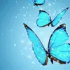 Franciscavandenham - @franciscavandenham - TikTok
