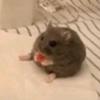 fran dennis - @frannxdew - TikTok