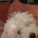 Fran Denny - Facebook