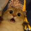 SI KURLEP - @fransdennyyy - TikTok