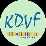 Koolen De Vries France - @koolendevriesfrance - Instagram