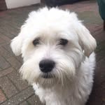 Frank De Witte - @frank.dewitte.58 - Instagram
