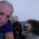 Frank Van Driessche - @frankdewitt59 - Instagram