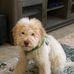 Fran DeYoung - Facebook