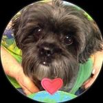 Fran Dickson - @frandickson66920 - Instagram