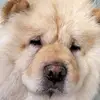 D.frandillon - @d.frandillon - TikTok