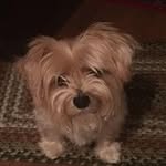 Fran Dillon - @frankie060360 - Instagram