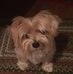 Fran Dillon - Facebook
