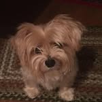 Fran Dillon - @frankue060360 - Instagram