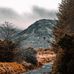 Frank Dillon - Facebook
