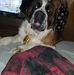Frank Dodge - Facebook