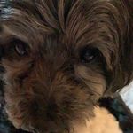 Frankie Dodson - @frankie5019 - Instagram