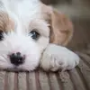 francodooley6 - @franco.dooley - TikTok