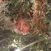 Fran Doyle - Facebook