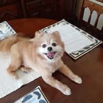 Fran Dreyer - @dreyer_fran - Instagram