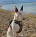 Frank Drummond - Facebook