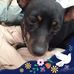 Fran Dudley - Facebook