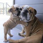 Frank.Dudley.Leroy - @frank.dudley.leroy - Instagram