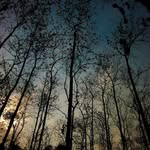 Fran dutton - @fran_dutton154 - Instagram