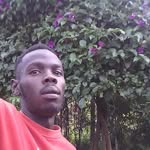 Frank Dyer - @frankdyer4 - Instagram