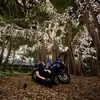 Frankie Eaton - @frankieeaton4 - TikTok