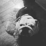 Frankie - @_frankie_eldridge_ - Instagram