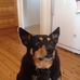 Fran Elliott - Facebook