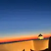 fran_elliott_ivy_fiona - @fran_elliott_ivy_fiona - TikTok