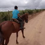 Francisco Emerson Alencar - @fran_emerson.67 - Instagram