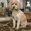 Frances Epps - @frances.epps4 - TikTok