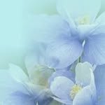 fran.espinosa - @fran.espinosa1956 - Instagram