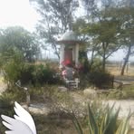 Fran Fabian - Facebook