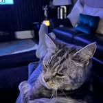Frank Farrell - @frank.farrell.779 - Instagram
