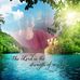 Fran Fields - Facebook