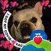 Fran Fields - Facebook